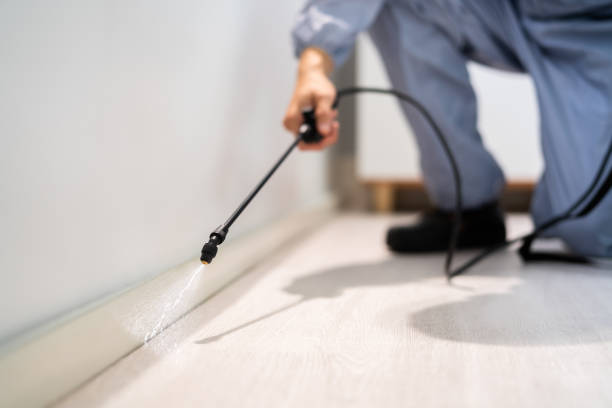 Licensed Termite Control service in Oakwood, IL - Nex Pest Control
