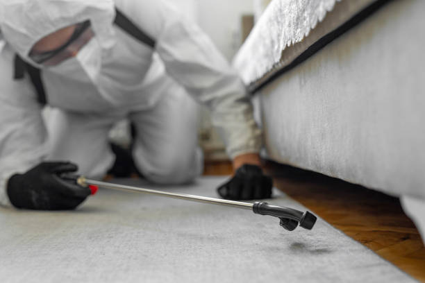 Professional Termite Control technician working in Oakwood, IL