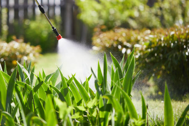24/7 Emergency Termite Control experts in Oakwood, IL