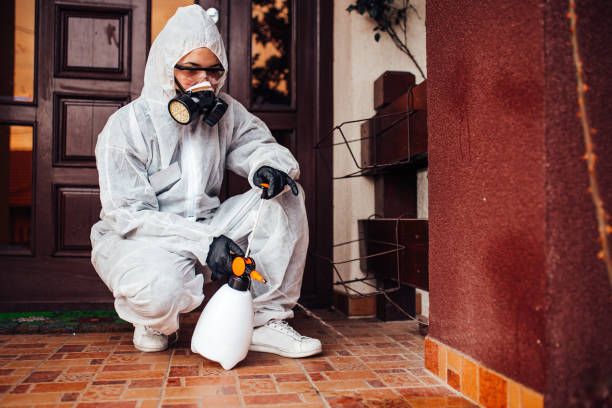 Reliable Termite Control contractor in Oakwood, IL by Nex Pest Control