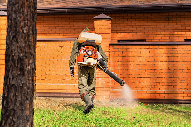 Top rated local Termite Control specialists in Oakwood, IL